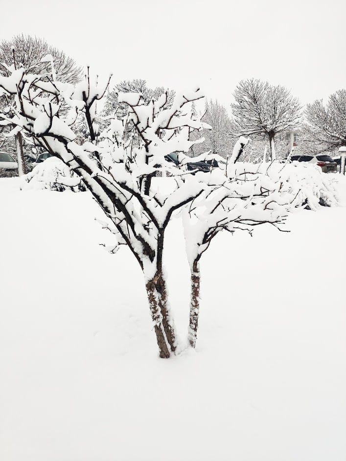 اسكي شهير في الشتاء