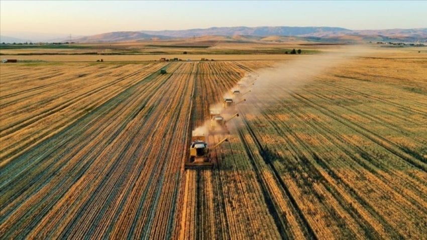 Agricoltura in Turchia