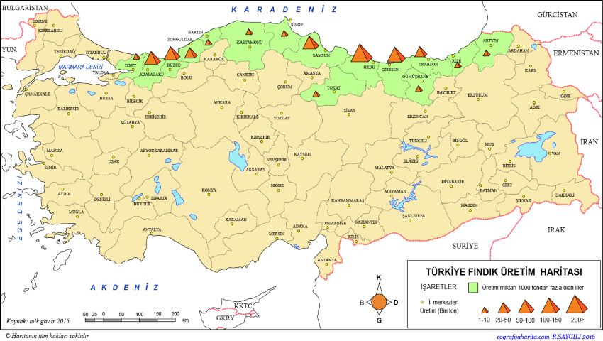 Mapa de la producción de avellanas en Turquía