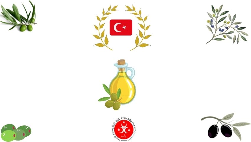 Turkish Olive production