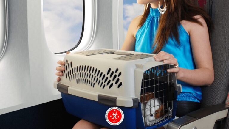 Voyager avec des animaux domestiques en Turquie – Guide complet … 2023