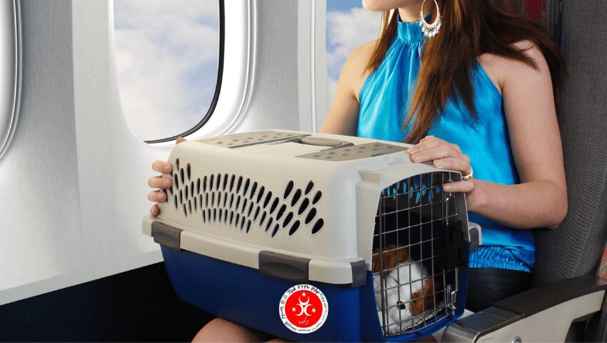 Travelling with Pets in Turkey 1 1 1