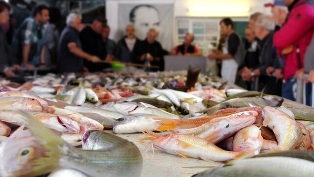 Alacati Fish market 1