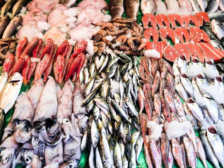 Lonjas de pescado en Turquía.. Tu guía completa 2023