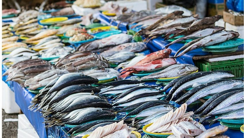 Mercati del pesce in Turchia