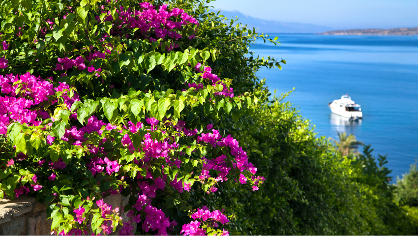 Kumbah&ccedil;e Strand Bodrum