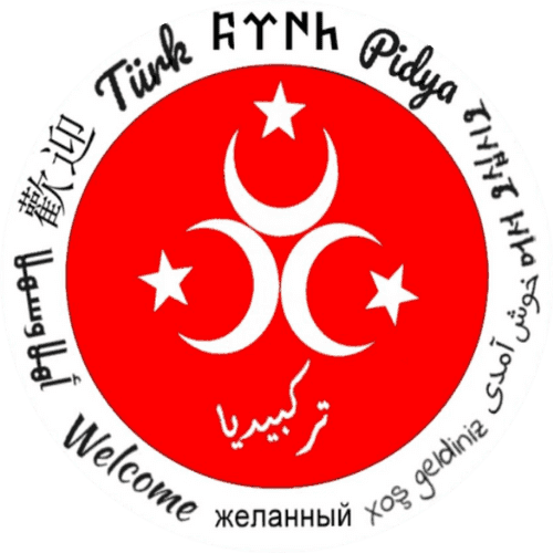 Turkpidya Logo 3