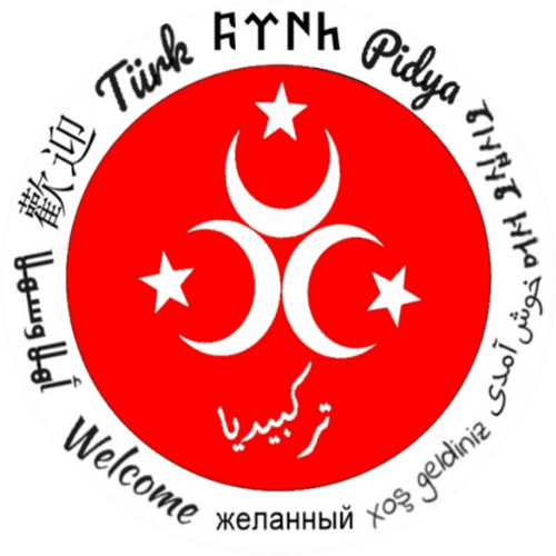 Turkpidya Logo