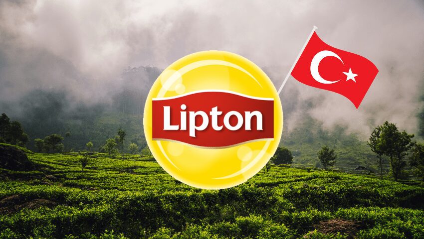 lipton turkey
