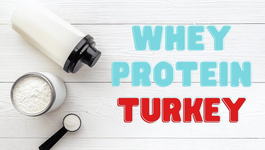 پروتئین آب پنیر در ترکیه