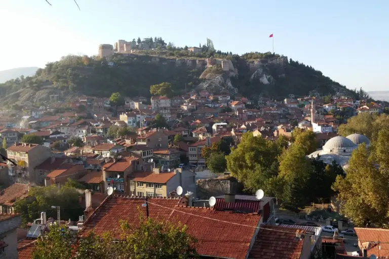 Red-tiled roofs of old houses climbing a hillside below a castle ridge, with mosque domes and autumn trees in the foreground