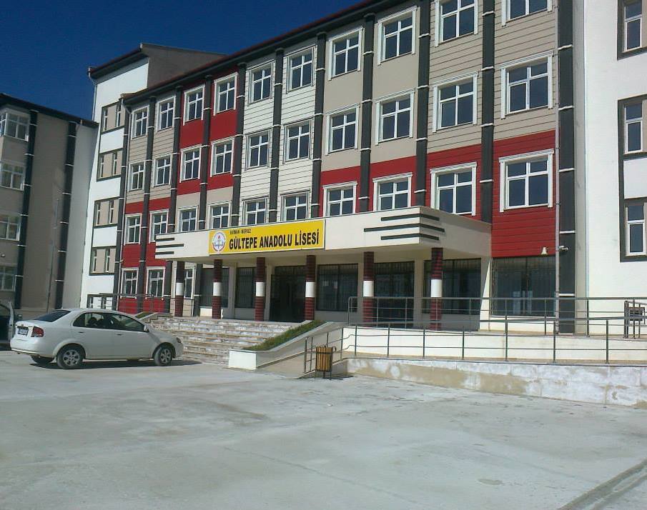 Anadolu Liseleri high schools