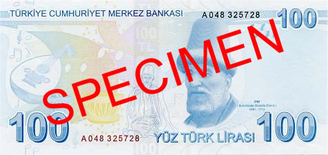 100 Turkish Lira Back