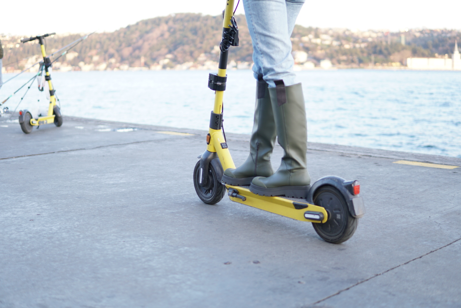 Fenix Palm Turkpidya2 1