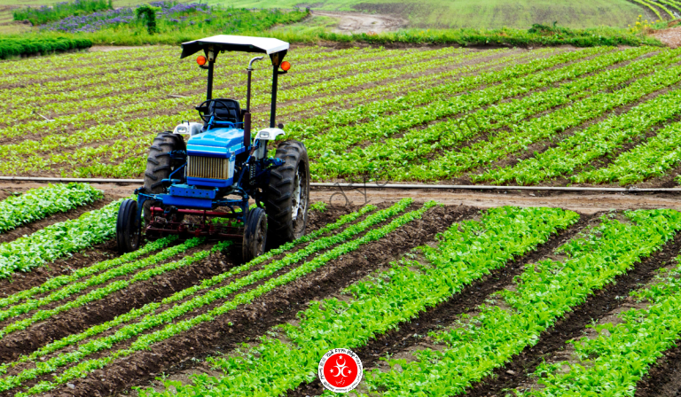 Read more about the article Agriculture in Turkey | Crops | Farming Regions | Statistics | Governmental Support | Farming