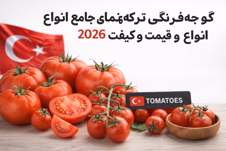 گوجهفرنگی ترکیه: راهنمای جامع انواع، قیمت و کیفیت ۲۰۲۶