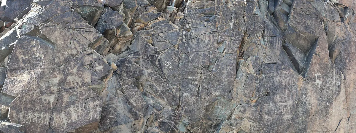 A wide grey rock face with many small carved figures and marks on its surface
