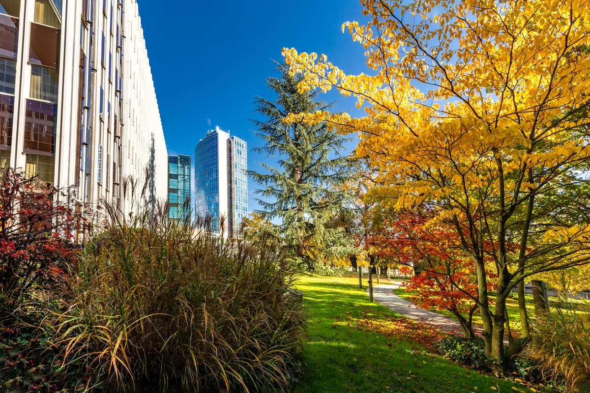 Le si&egrave;ge de l&rsquo;OMPI &agrave; Gen&egrave;ve&nbsp;: un long b&acirc;timent &agrave; fa&ccedil;ade vitr&eacute;e pr&egrave;s d&rsquo;un parc aux couleurs d&rsquo;automne, avec une tour de verre &agrave; l&rsquo;arri&egrave;re-plan