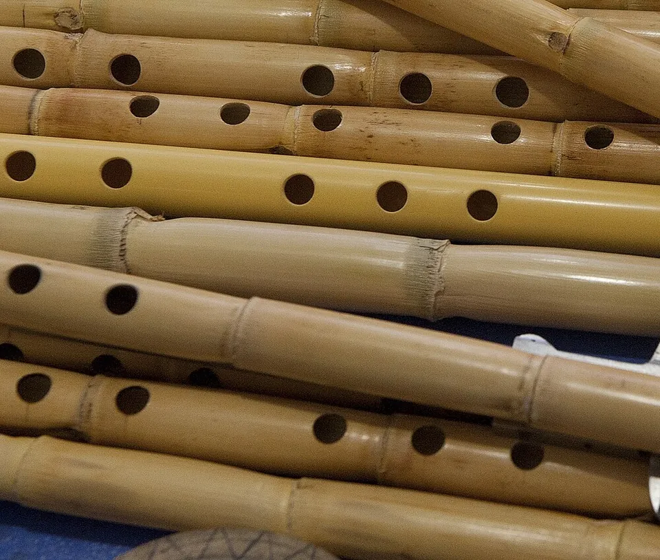 V&aacute;rias flautas claras de junco lado a lado, cada uma com uma fileira de orif&iacute;cios redondos para os dedos